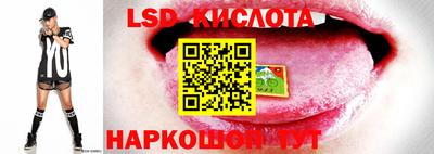 тгк Ярославль