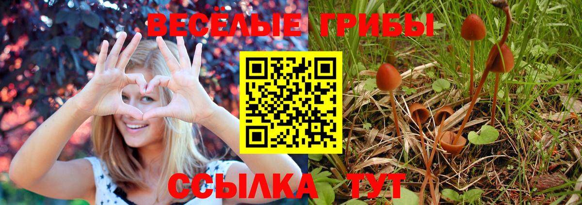 Галлюциногенные грибы Magic Shrooms  Вход с VPN  Выборг 