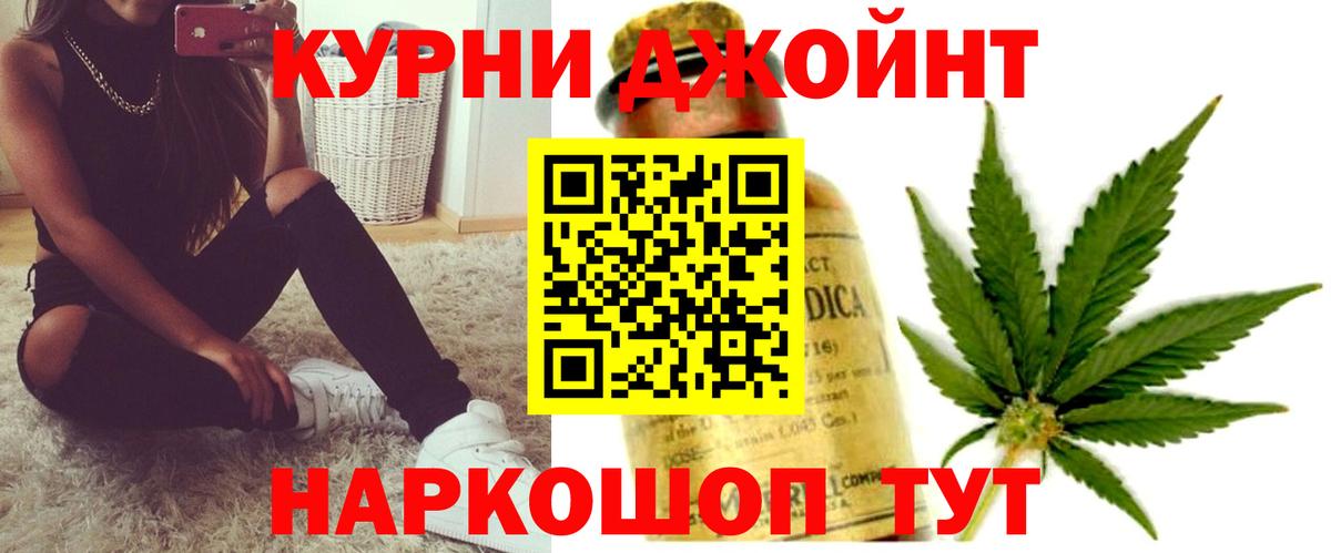 Конопля сатива Выборг